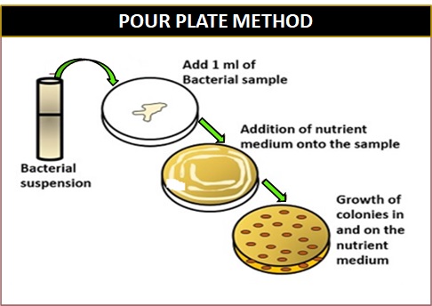 Pour plate method 