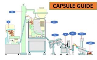 hard gelatin capsule