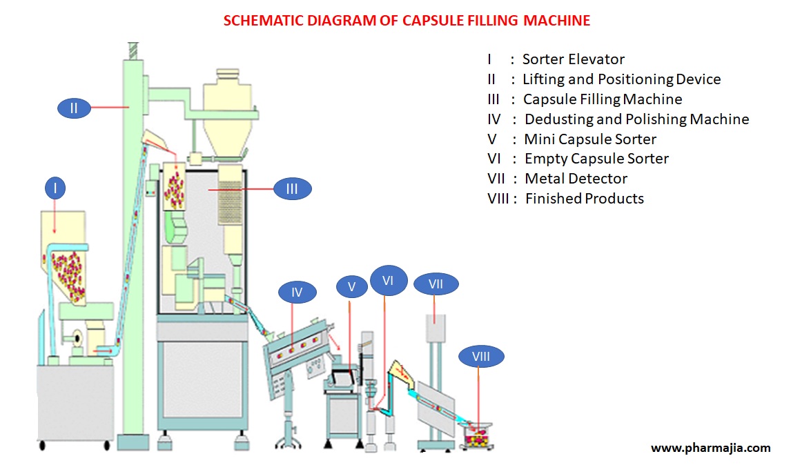 Comprehensive Information on hard gelatin capsule - PharmaJia