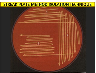Streak Plate method