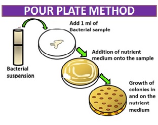 Pour plate method